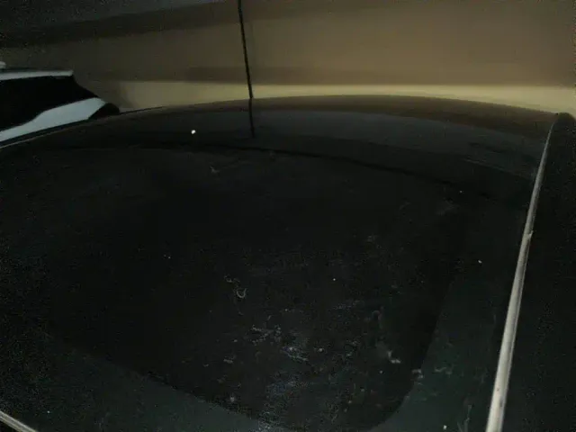 Tesla Model Y — Фото автомобиля 6