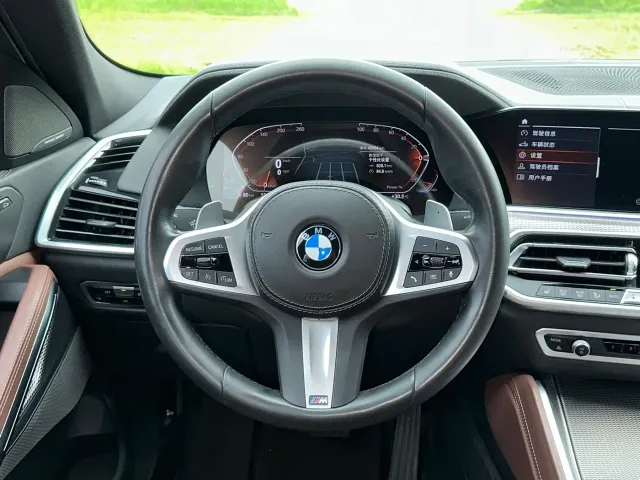 BMW X6 — Фото автомобиля 18