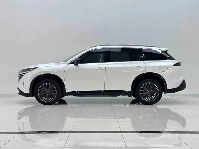 Nissan Terra — Фото автомобиля 6