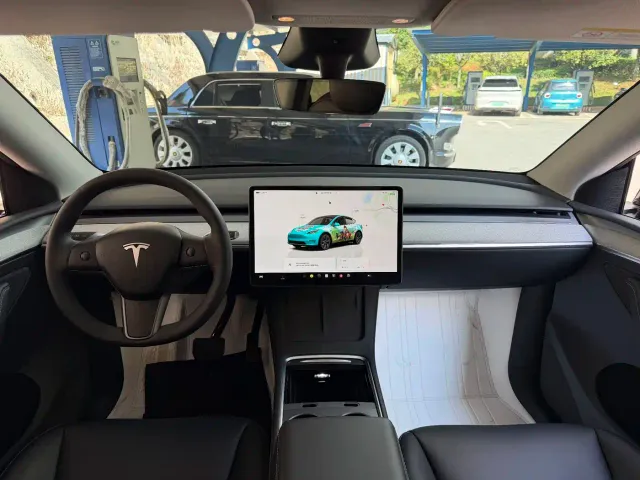 Tesla Model Y — Фото автомобиля 15