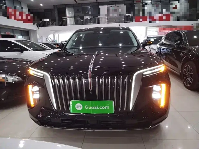 Hongqi E-HS9 — Фото автомобиля 2