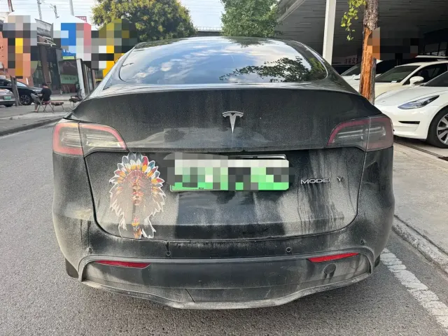 Tesla Model Y — Фото автомобиля 10