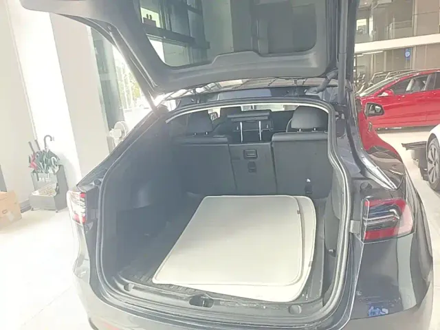 Tesla Model Y — Фото автомобиля 18