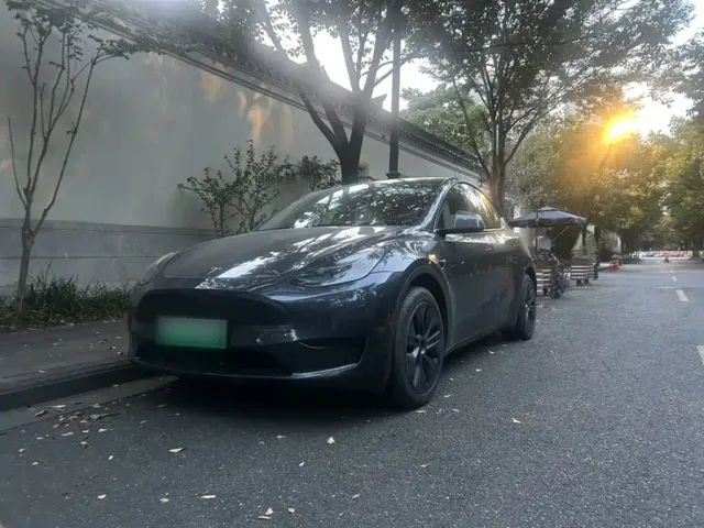 Tesla Model Y — Фото автомобиля 3