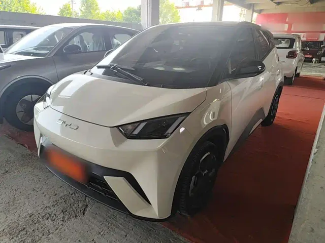 Фотография автомобиля — BYD Seagull