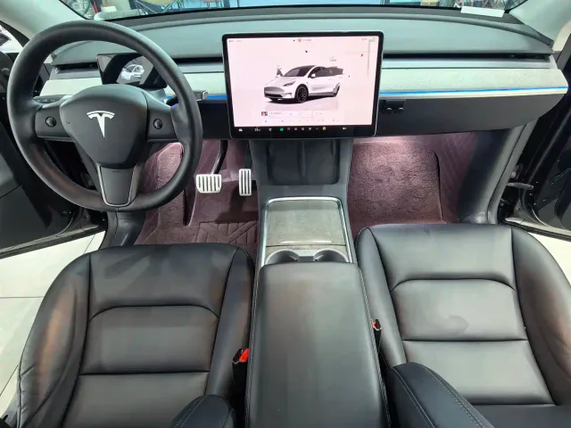 Tesla Model Y — Фото автомобиля 10