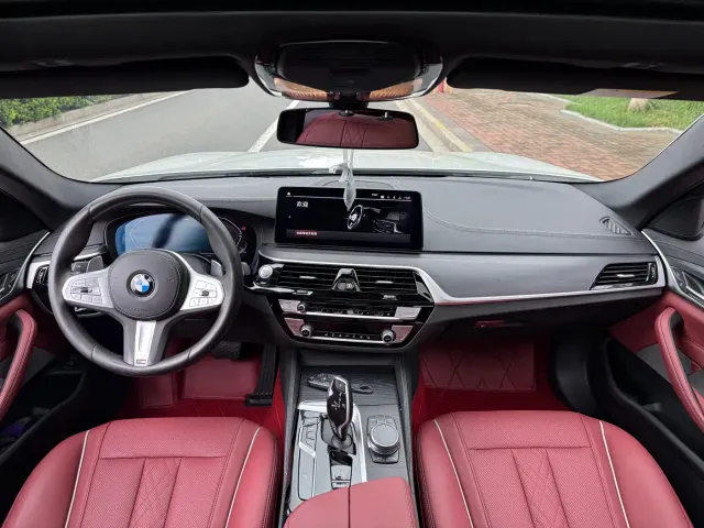 BMW 5 Series — Фото автомобиля 8