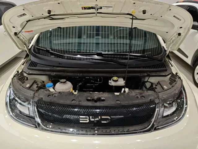 BYD Dolphin — Фото автомобиля 15