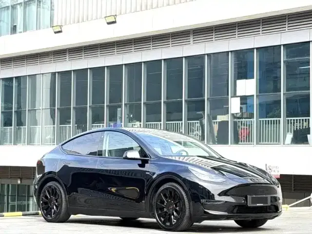 Tesla Model Y — Фото автомобиля 2
