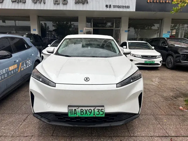 Dongfeng SKY EV01 — Фото автомобиля 2