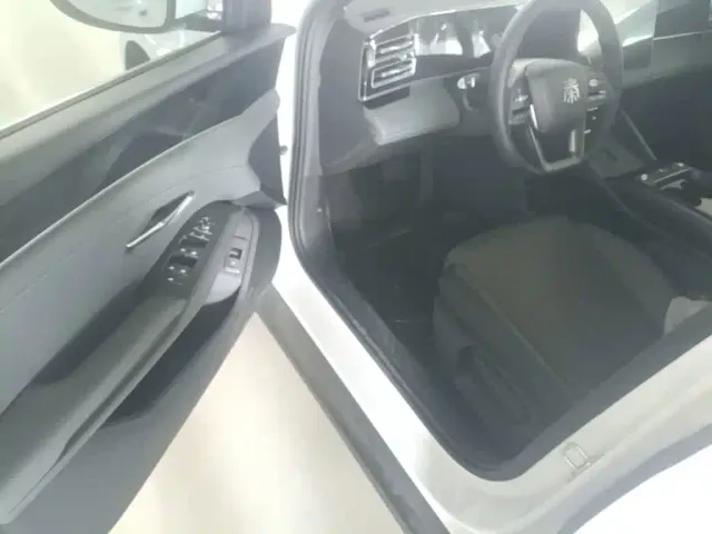 BYD Qin L — Фото автомобиля 15