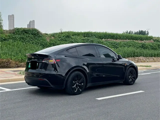 Tesla Model Y — Фото автомобиля 3
