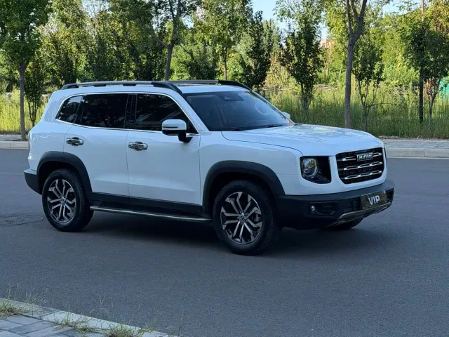 Haval Haval Big Dog 2021 1.5T DCT 2WD Border Collie - Wangcai Edition — Фото автомобиля 3