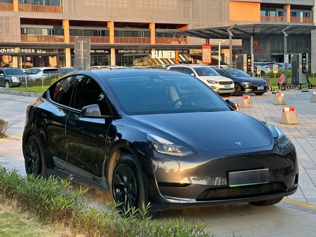 Tesla Model Y — Фото автомобиля 3