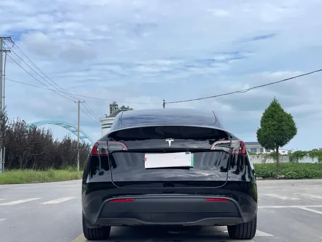 Tesla Model Y — Фото автомобиля 6
