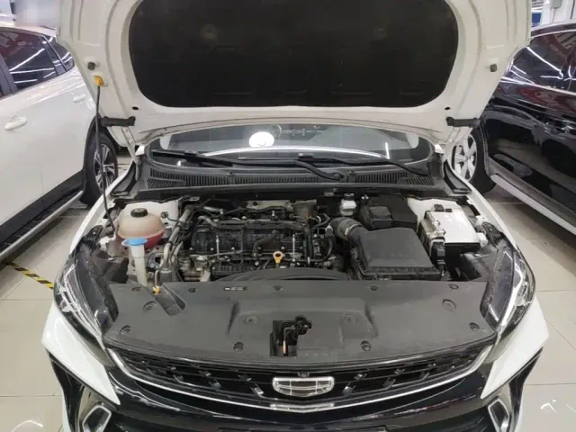 Geely Binrui — Фото автомобиля 19