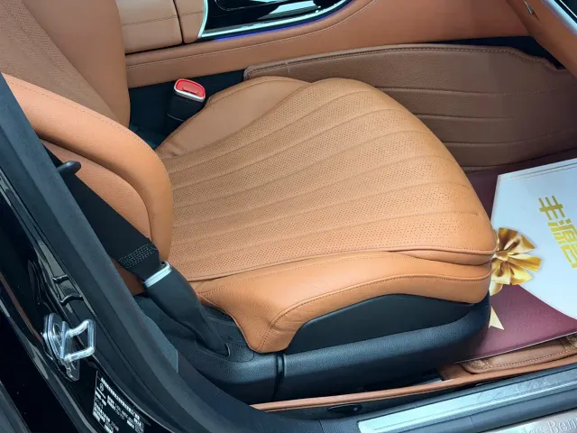 Mercedes-Benz S-Class — Фото автомобиля 8