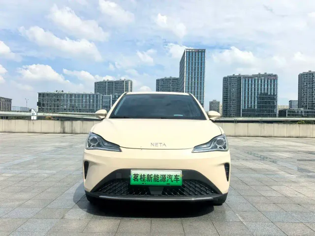 Hozon Neta Aya — Фото автомобиля 2