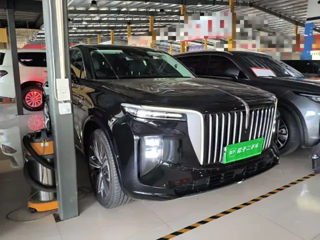 Hongqi E-HS9 — Фото автомобиля 3