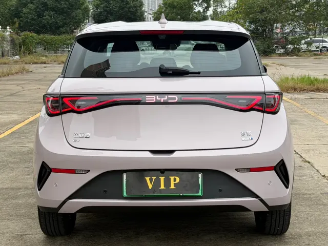 BYD Dolphin — Фото автомобиля 8