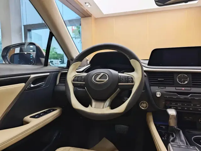 Lexus RX — Фото автомобиля 14