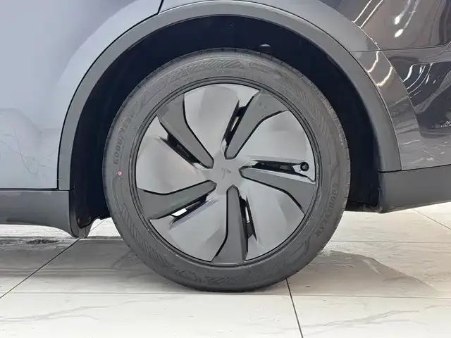 Tesla Model Y — Фото автомобиля 7