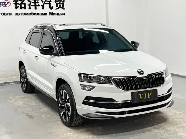 Skoda Karoq — Фото автомобиля 3