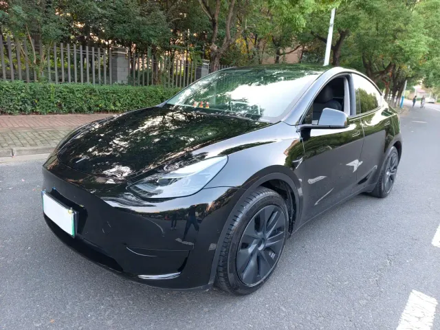 Tesla Model Y — Фото автомобиля 2