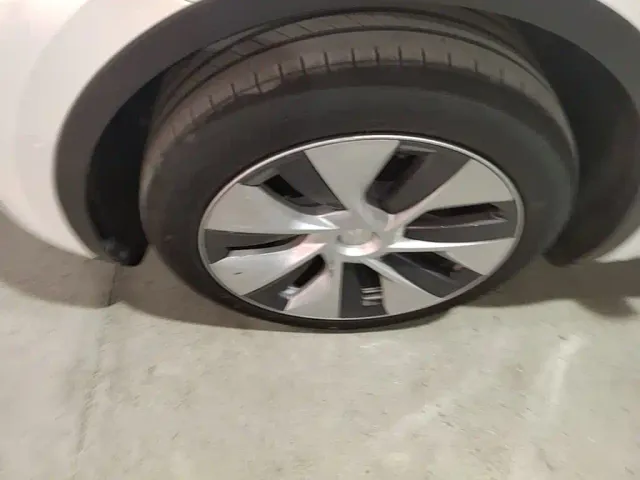 Tesla Model Y — Фото автомобиля 22