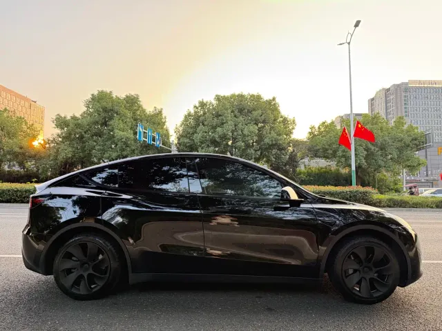 Tesla Model Y — Фото автомобиля 6