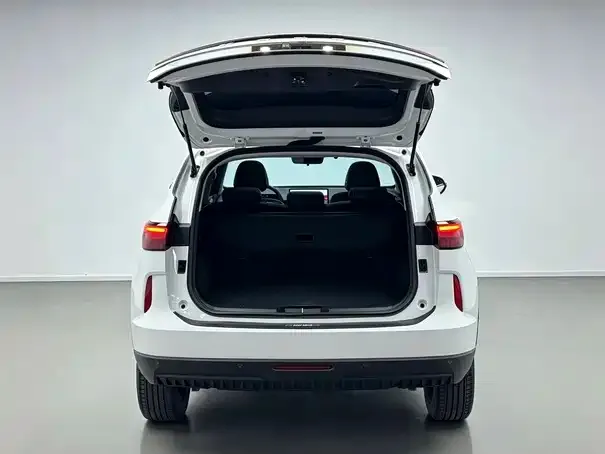 Haval H6 — Фото автомобиля 11