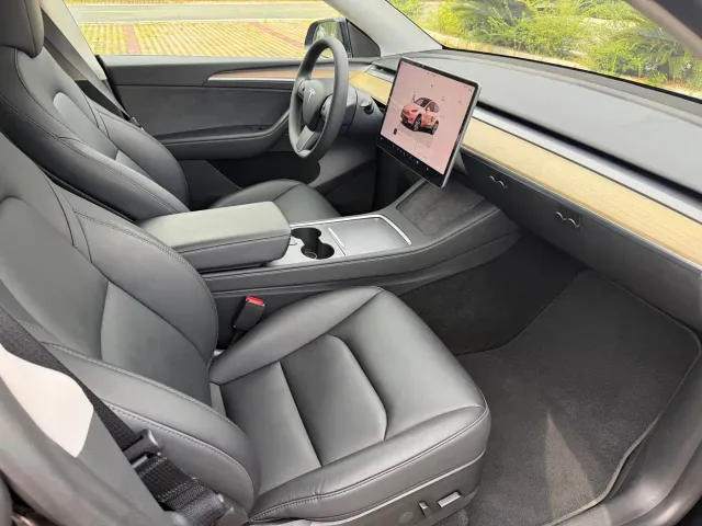 Tesla Model Y — Фото автомобиля 10
