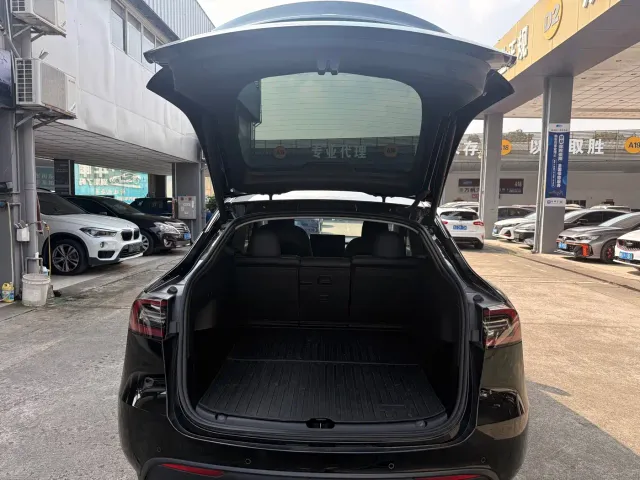 Tesla Model Y — Фото автомобиля 10