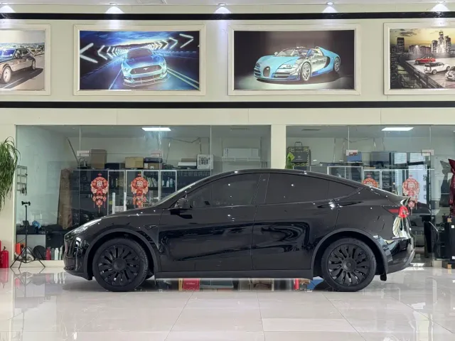 Tesla Model Y — Фото автомобиля 11