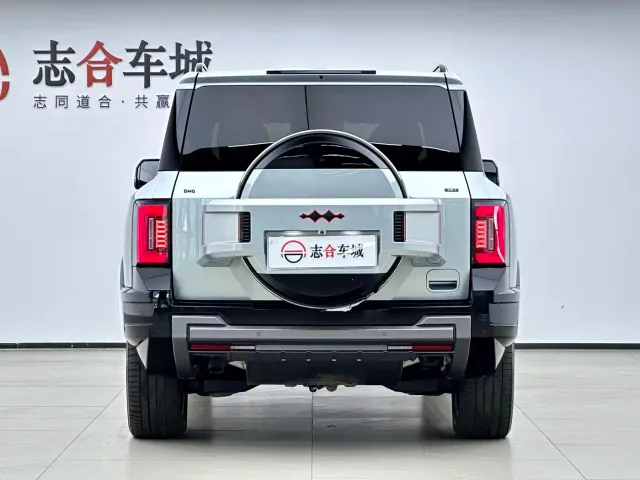 BYD FangChengBao Leopard 8 — Фото автомобиля 11