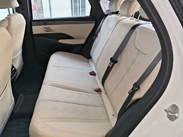 BYD Qin PLUS — Фото автомобиля 16