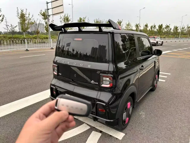 Geely Panda — Фото автомобиля 6