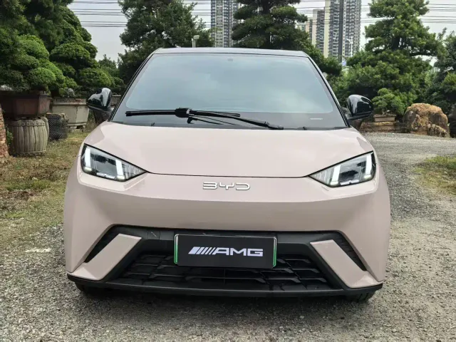 BYD Seagull — Фото автомобиля 2