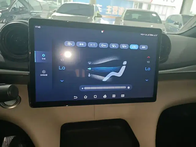 BYD Dolphin — Фото автомобиля 12