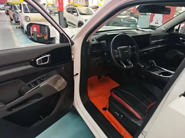 Haval Cool Dog — Фото автомобиля 15
