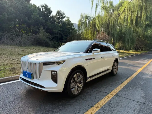 Фотография автомобиля — Hongqi E-HS9