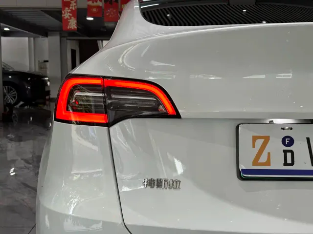 Tesla Model Y — Фото автомобиля 16