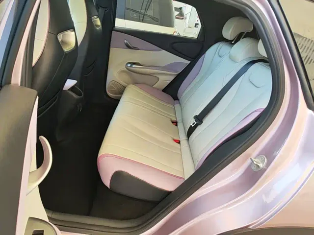 BYD Dolphin — Фото автомобиля 16