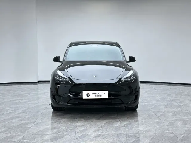 Tesla Model Y — Фото автомобиля 5