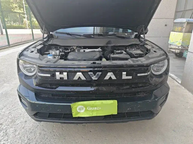 Haval Big Dog — Фото автомобиля 16