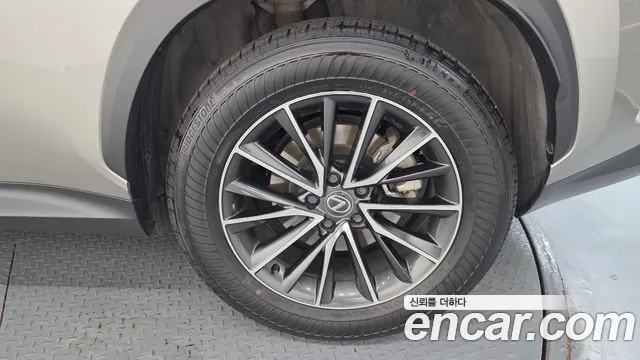 Lexus NX NX450h+ 2nd Gen — Фото автомобиля 6