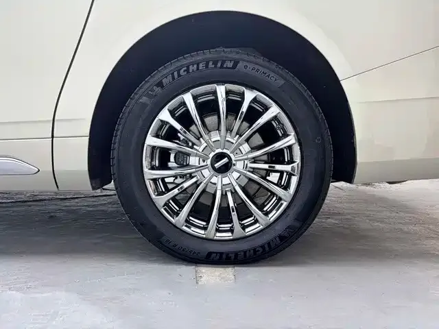 Wey Alpine — Фото автомобиля 12