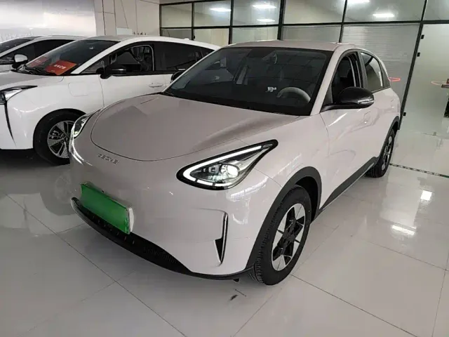 Фотография автомобиля — Geely Starry Wish
