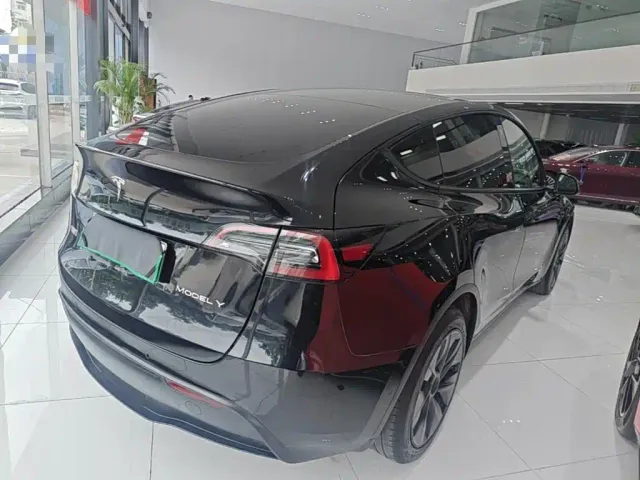 Tesla Model Y — Фото автомобиля 4