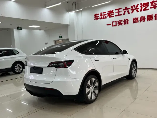 Tesla Model Y — Фото автомобиля 12